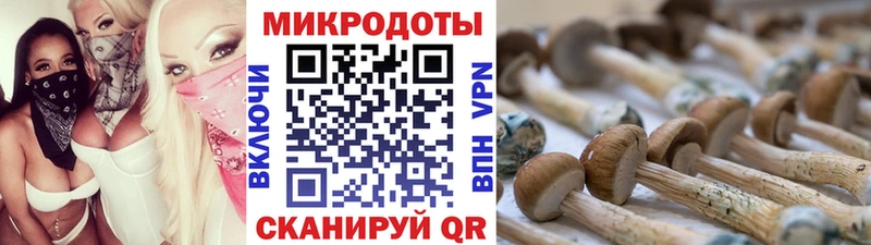 где купить   Дербент  Галлюциногенные грибы GOLDEN TEACHER 