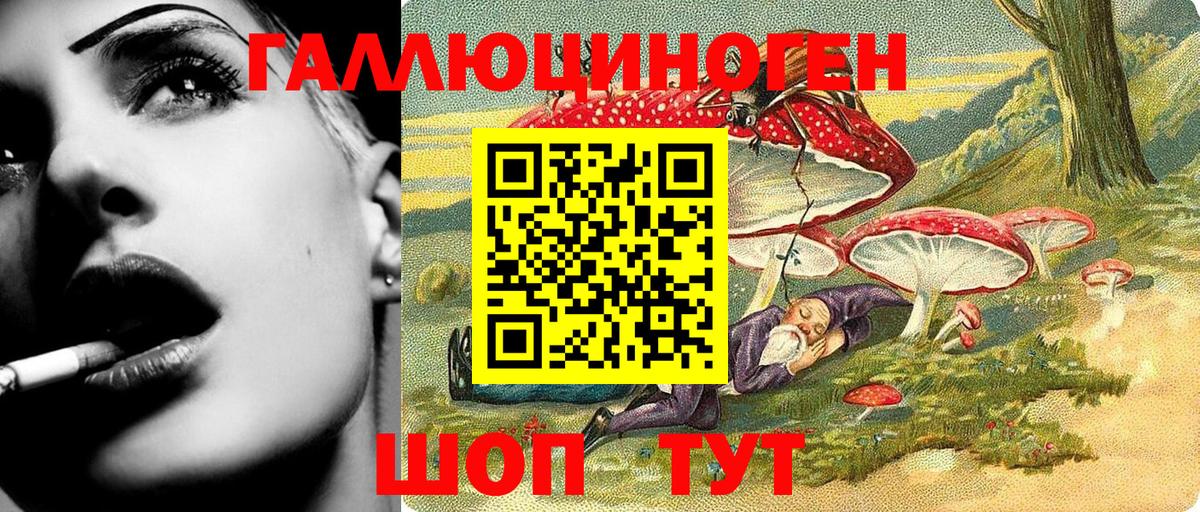 Псилоцибиновые грибы мухоморы Дербент